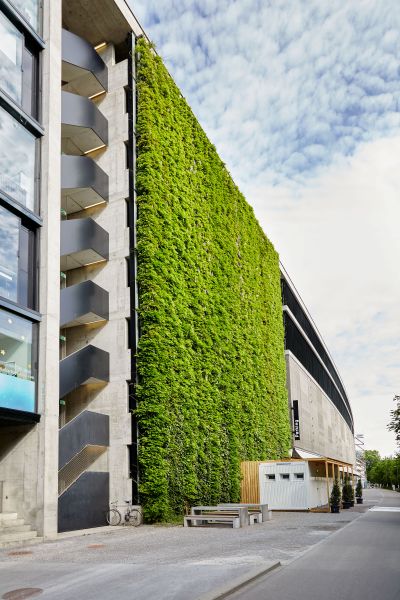 Jakob-Rope-Systems-GreenSolutions_Vertikalus apzeldinimas_1 Jakob-Rope-Systems-GreenSolutions_Vertikalus apzeldinimas_1